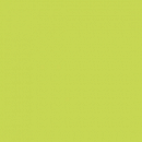 CPT6344 Lime Green