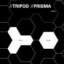 TRIPOD & PRISMA