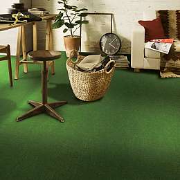 Toli Outdoor & Indoor Carpet